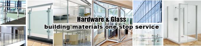 Коммерческие прозрачные стеклянные передние поворотные железные двери с графическим дизайном из стали и алюминия 0