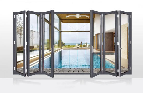 Устойчивые к тайфунам черные алюминиевые двери с толстым профилем