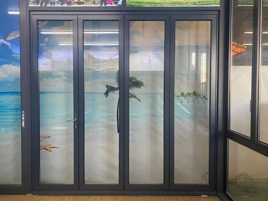 Безопасное закаленное стекло черное алюминиевое двусторонние двери