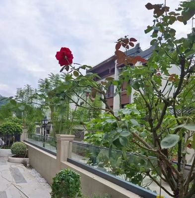 Гибкая алюминиевая стеклянная перила под каналом U